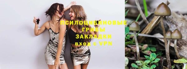 герыч Аркадак