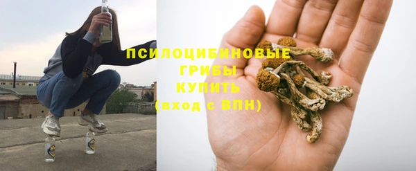 ешки Армянск