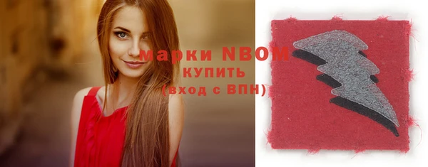 ПСИЛОЦИБИНОВЫЕ ГРИБЫ Арсеньев