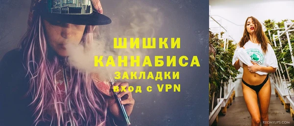 ПСИЛОЦИБИНОВЫЕ ГРИБЫ Арсеньев
